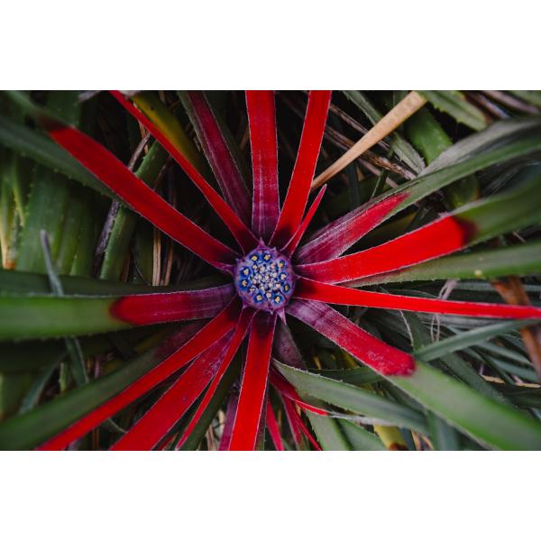 Imagen noticia: Certamen de Fotografía Xurxo Lobato Imagen noticia: Certamen de Fotografía Xurxo Lobato